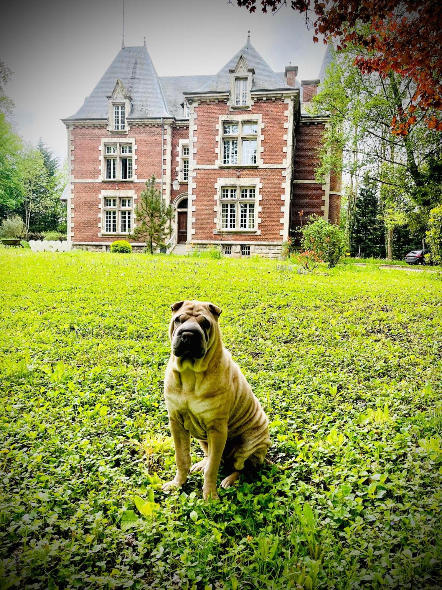 Domaine De La Croix De Saint Lambert Bed and Breakfast Poix-Terron Eksteriør billede
